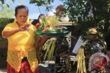 Umat Hindu menyiapkan sesajen saat persembahyangan Hari Raya Saraswati di Pura Siwa Stana Giri, Ambon, Maluku, Sabtu (25/6). Hari Raya Saraswati yaitu hari turunnya ilmu pengetahuan yang diperingati dengan melakukan persembahyangan bersama di Pura untuK mensyukuri sekaligus memohon agar ilmu pengetahuan yang ada dapat bermanfaat untuk kesejahteraan umat manusia. ANTARAFOTO/izaac mulyawan/aww/16.