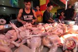 Pedagang memotong daging ayam saat melayani pembeli di pasar Sukaramai Medan, Sumatera Utara, Selasa (5/7). Permintaan ayam potong seharga Rp32 ribu per ekor tersebut mengalami lonjakan hingga dua kali lipat menjelang Lebaran karena banyaknya masyarakat memilih menu ayam sebagai hidangan dalam perayaan Idul Fitri. ANTARA SUMUT/Septianda Perdana/16