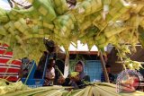 Sejumlah pedagang menyiapkan jualan ketupat lebarannya di kawasan Denai Medan, Sumatera Utara, Selasa (5/7). Menurut pedagang menjelang hari lebaran, permintaan sarang ketupat mulai ramai dibeli warga yang dijual dengan harga Rp5 ribu hingga Rp10 ribu per ikat. ANTARA SUMUT/Septianda Perdana/16