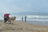 Wisatawan naik delman di tepi Pantai Teleng Ria, Pacitan, Jawa Timur, Minggu (17/7). Pantai Teleng Ria yang landai dan memiliki garis pantai cukup panjang merupakan salah satu objek wisata andalan Pacitan yang banyak dikunjungi wisatawan domestik maupun mancanegara. Antara Jatim/Foto/Siswowidodo/zk/16