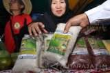 Penjual menata beras organik saat dipamerkan di Banyuwangi, Jawa Timur, Rabu (20/7). Beras organik asal Banyuwangi mulai minati pasar ekspor diantaranya Amerika,Tiongkok, Qatar dan Belanda yang mencapai 100 ton per bulan. Antara Jatim/ Budi Candra Setya/zk/16.