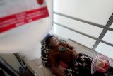 Satu dari sepuluh korban Demam Berdarah Dengue (DBD) menjalani perawatan intensif di salah satu rumah sakit di Kota Lhokseumawe, Provinsi Aceh, Senin (25/7). Data Bidang Pengendalian Penyakit dan Penyehatan Lingkungan (P2PL) Dinas Kesehatan setempat merilis jumlah penderita DBD priode Januari-Juli 2016 mencapai 194 kasus meningkat dari priode sebelumnya 115 kasus. ANTARA FOTO/Rahmad/pd/16