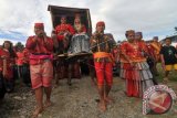 Sepasang mempelai diusung saat melangsungkan prosesi pernikahan adat Kulawi di Olobodju, Sigi, Sulawesi Tengah, Jumat (5/8). Prosesi mengusung pengantin tersebut merupakan pelaksanaan pembersihan diri rangkaian dari upacara pernihakan adat setempat. ANTARA FOTO/Fiqman Sunandar/wdy/16.
