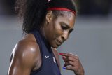 Serena serang balik John McEnroe