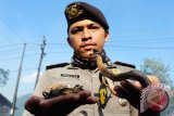 Seorang petugas kepolisian memperlihatkan ular dan tulang belulang musang yang hangus terbakar akibat kebakaran lahan, di Rasau Jaya, Kabupaten Kubu Raya, Kalbar, Jumat (12/8). Saat proses pemadaman kebakaran lahan gambut di kawasan tersebut, petugas menemukan ular dan musang yang hangus terbakar di dalam tanah. ANTARA FOTO/Jessica Helena Wuysang/16