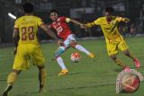 Pesepak bola Bali United, Fadhil (tengah) berebut bola dengan pesepak bola Sriwijaya FC Hafit Ibrahim (kanan) dalam Pertandingan Torabika Soccer Championship di Stadion I Wayan Dipta, Gianyar, Bali, Jumat (19/8). Bali United menang atas Sriwijaya FC dengan skor 1-0. ANTARA FOTO/Nyoman Budhiana/i018/2016.