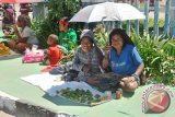Pemprov Papua instruksikan pemetaan masalah perempuan tiga kabupaten
