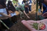 Kepala Perwakilan FAO di Indonesia dan Timor-Leste, Mark Smulders menanam biji kacang-kacangan bersama sejumlah pelajar di kebun sekolah SMK N 2 kota Tangerang, Banten, Sabtu (20/8). Kegiatan yang diprakarsai oleh Perserikatan bangsa bangsa (UNIC) bekerjasama dengan Badan Pangan dan Pertanian Dunia (FAO) serta Yayasan DeTara itu merupakan peringatan tahun internasional kacang-kacangan dengan tujuan untuk mendorong sekolah agar dapat mengadopsi perilaku menghormati dan mencintai lingkungan. ANTARA FOTO/Lucky R/wdy/16