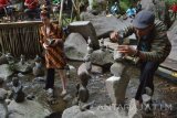 Sejumlah orang menyusun batu saat Festival Gravitasi Bumi Selondo di Desa Ngrayudan, Jogorogo, Ngawi, Jawa Timur, Minggu (21/8). Festival Gravitasi Bumi Selondo merupakan kegiatan budaya di sungai Selo Ondo yang melibatkan masyarakat untuk berlomba menumpuk batu-batu sungai dengan jumlah batu dan ketinggian tak terbatas, dimaksudkan untuk mengangkat potensi seni budaya lokal. Antara Jatim/Foto/Siswowidodo/zk/16