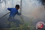 Seorang petugas pemadam kebakaran Kota Pontianak memadamkan api yang merambat di bawah tanah lahan gambut di Jalan Parit Haji Husin II, Pontianak, Kalbar, Senin (22/8). Kepala Badan Penangulangan Bencana Daerah (BPBD) Kota Pontianak, Aswin Thaufik menyatakan bahwa dalam 20 hari terakhir tercatat ada 34 kasus pembakaran lahan gambut yang terjadi di Kota Pontianak, yang diduga sengaja dilakukan oleh pihak pengembang perumahan. ANTARA FOTO/Jessica Helena Wuysang/16