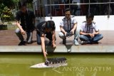 Empat mahasiswa jurusan teknik manufaktur dan teknik elektro fakultas teknik Universitas Surabaya (Ubaya) mengoperasikan perahu bertenaga surya (solar cell) di kolam Ubaya, Surabaya, Jawa Timur, Selasa (23/8). Perahu prototype bernama 'Elman' berukuran 75x75 cm bertenaga surya tersebut memperoleh juara tiga dalam mengikuti kompetisi Marine Icon 2016. Antara Jatim/M Risyal Hidayat/zk/16