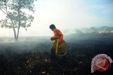 Seorang anggota Pemadam Kebakaran Panca Bhakti membawa selang air saat melintasi lokasi lahan yang terbakar di Komplek Permata Paris, Jalan Parit Haji Husin II, Pontianak, Kalbar, Rabu (24/8). Kabag Ops Polresta Pontianak, Kompol Dani Catra Nugraha menyatakan bahwa kebakaran lahan gambut seluas sepuluh hektar dengan kedalaman lima meter tersebut, terjadi sejak pekan lalu dan hingga kini belum padam karena angin kencang serta cuaca yang sangat panas hingga memicu munculnya kembali api dari dalam tanah. ANTARA FOTO/Jessica Helena Wuysang/16