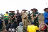 Danrem 101/Antasari Kolonel Kav Januar  Adil bersama Sekda Kabupaten Tabalong Abdul Muthalib Sangadji,  Ketua Dewan Darwin Awi dan  Dandim 108/Tanjung Letkol Arm Anang Krisna  Indra Kumara  lakukakan tanam perdana padi di Desa Jirak Kecamatan Pugaan.(Foto Antaranews.Kalsel/Herlina Lasmianti)