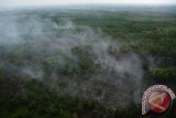 Foto udara kebakaran lahan yang diambil dari Heli Bell 412 milik Kementerian Lingkungan Hidup dan Kehutanan di Kabupaten Kubu Raya, Kalbar, Kamis (25/8). Berdasarkan pantauan satelit Terra/Aqua (LAPAN) terjadi peningkatan titik api dari 275 (11-17 Agustus) menjadi 490 titik api (18-24 Agustus) yang disebabkan oleh kebakaran lahan di wilayah Kalbar. ANTARA FOTO/Jessica Helena Wuysang/16