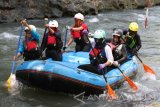 Tim arung jeram putri Jatim melakukan latihan slalom dalam pemusatan latihan di sungai Bango, Malang, Jawa Timur, Minggu (28/8). Pemusatan latihan arung jeram tersebut digenjot selama tiga bulan terakhir untuk memenuhi target dua emas di nomor 'Slalom' dan 'Head To Head' di kelas rafter enam putri dalam PON Jabar mendatang. Antara Jatim/Ari Bowo Sucipto/zk/16.