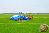 Pesawat Latih Jatuh Di Sawah