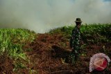 Seorang anggota TNI AD menyaksikan lahan yang terbakar di Kampung Parit Haji Muksin, Kecamatan Sungai Raya, Kabupaten Kubu Raya, Kalbar, Senin (29/8). BMKG menyatakan berdasarkan hasil pantauan sensor MODIS (Satelit AQUA dan Terra) per 29 Agustus pada pukul 16.30 WIB menunjukkan adanya 64 titik api yang tersebar di 9 kabupaten di Kalbar. ANTARA FOTO/Jessica Helena Wuysang/16

