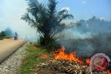 Seorang pengendara motor melintasi lokasi lahan gambut yang terbakar di Kecamatan Sungai Raya, Kabupaten Kubu Raya, Kalbar, Senin (29/8). Menurut warga setempat, kebakaran lahan yang berada di tepi jalan tersebut telah terjadi sejak pekan lalu tersebut tidak diketahui penyebabnya. ANTARA FOTO/Jessica Helena Wuysang/16