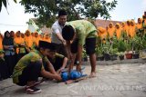 Siswa belajar cara penyembelihan kambing saat pelatihan tata cara penyembelihan hewan kurban di MAN Desa Kepuhdoko,Jombang, Jawa Timur, Rabu (7/9). Pelatihan yang diikuti siswa sekolah setempat itu, bertujuan untuk meningkatkan pengetahuan dan pemahaman tata cara penyembelihan hewan kurban yang benar sesuai dengan syariat Islam. Antara Jatim/Syaiful Arif/zk/16