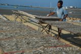 Pekerja menjemur ikan asin di Desa Branta Pesisir, Pamekasan, Jatim, Kamis (8/9). Selama hampir tiga bulan produksi ikan kering yang dipasarkan ke sejumlah daerah di Jateng dan Jogyakarta itu, menurun dari biasanya 2,5 ton per hari menjadi sekitar 200 kg per hari karena terkendala cuaca. Antara Jatim/Saiful Bahri/zk/16