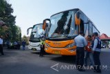 Petugas UPT Dinas Perhubungan dan Lalu Lintas Angkutan Jalan (LLAJ) Jatim di Mojokerto, saat menggelar razia bus sekaligus uji kelaikan menjelang libur Hari Raya Iduladha di Terminal Kepuhsari Jombang, Jawa Timur, Kamis (8/9). Dalam razia gabungan armada bus yang digelar UPT Dishub dan LLAJ Jatim, Polisi dan Denpom V/2 Brawijaya itu menemukan sepuluh pegemudi bus yang menggunakan Surat Ijin Mengemudi (SIM) B1 dan SIM A yang seharusnya menggunakan SIM B2. Razia itu untuk memastikan kelayakan kendaraan serta mencegah terjadinya kecelakaan akibat kendaraan yang tak laik jalan. Antara jatim/Syaiful Arif/zk/16