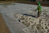 Petani panen garam di Desa Bunder, Pademawu, Pamekasan, Jatim, Jumat (9/9). Harga garam Madura pada awal musim tahun ini mencapai Rp500 per ton. Antara Jatim/Saiful Bahri/zk/16