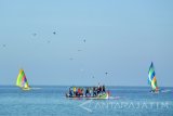 Sejumlah nelayan menerbangkan ayam ditengah laut dalam lomba ayam sap-sap (ayam terbang) di Pantai Pasir Putih, Bungatan, Situbondo, Jawa Timur, Sabtu (10/9). Ayam sap-sap merupakan lomba tradisional masyarakat pesisir Situbondo dengan menerbangkan ayam betina dari atas perahu ditengah laut ke daratan sejauh 200 meter.  
Antara Jatim/Seno/zk/16.