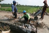 Sejumlah pekerja menyelesaikan pembangunan Jalan Usaha Tani di area persawahan Desa Bulupasar, Kediri, Jawa Timur, Jumat (16/9). Kementerian Pertanian melalui Direktorat Jenderal Prasarana dan Sarana Pertanian membantu pengembangan jalan usaha tani sebagai saranan memperlancar pengangkutan alat produksi dan hasil pertanian guna mendorong tercapainya swasembada pangan. Antara Jatim/Prasetia Fauzani/zk/16