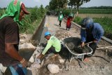 Sejumlah pekerja menyelesaikan pembangunan Jalan Usaha Tani di area persawahan Desa Bulupasar, Kediri, Jawa Timur, Jumat (16/9). Kementerian Pertanian melalui Direktorat Jenderal Prasarana dan Sarana Pertanian membantu pengembangan jalan usaha tani sebagai saranan memperlancar pengangkutan alat produksi dan hasil pertanian guna mendorong tercapainya swasembada pangan. Antara Jatim/Prasetia Fauzani/zk/16