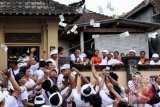 Sejumlah warga berebut uang yang dilempar warga saat Tradisi Mesuryak di Desa Bongan, Kab. Tabanan, Bali, Sabtu (17/9). Mesuryak merupakan tradisi berebut uang di depan pintu masuk pekarangan rumah warga secara bergiliran yang dilakukan setiap Hari Raya Kuningan yang dipercaya dapat mengantarkan roh leluhur menuju ke alam nirwana. ANTARA FOTO/Fikri Yusuf/wdy/16