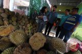 Product Marketing Manager SMB Google Indonesia Fida Heyder (kiri) bersama Head Of Corporate Communications Google Indonesia Jason Tedjasukmana (kiri kedua) menjelaskan aplikasi "Google Bisnisku" kepada para pelaku usaha durian di Medan, Sumatera Utara, Rabu (14/9). Google meluncurkan AdWords Express di Indonesia menggunakan cantuman Google Bisnisku sebagai sumber informasi, yang dirancang khusus bagi pelaku usaha lokal, terutama usaha kecil menengah (UKM) yang dapat mempromosikan bisnis mereka di perangkat seluler hanya dalam waktu beberapa menit. ANTARA SUMUT/Septianda Perdana/16