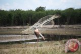 Seorang warga menjaring ikan di permukaan Taman Nasional Danau Sentarum (TNDS) yang sedang mengalami musim kering di Kabupaten Kapuas Hulu, Kalbar, Minggu (18/9). Kawasan TNDS seluas 132 ribu hektar yang merupakan salah satu objek wisata unggulan Kabupaten Kapuas Hulu tersebut, mengalami dua musim yaitu musim kering dan musim pasang. ANTARA FOTO/Victor Fidelis Sentosa/jhw/16