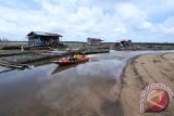 Seorang warga melintasi Taman Nasional Danau Sentarum (TNDS) yang sedang mengalami musim kering di Kabupaten Kapuas Hulu, Kalbar, Minggu (18/9). Kawasan TNDS seluas 132 ribu hektar yang merupakan salah satu objek wisata unggulan Kabupaten Kapuas Hulu tersebut, mengalami dua musim yaitu musim kering dan musim pasang. ANTARA FOTO/Victor Fidelis Sentosa/jhw/16