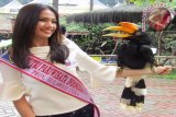 Finalis Putri Pariwisata Indonesia (PPI) 2016 dari Sulawesi
Utara, Lois berfoto bersama satwa burung rangkong badak. di lembaga konservasi 'ex-situ' (di luar habitat alami) satwa liar sekaligus objek wisata nasional Taman Safari Indonesia (TSI) di Cisarua, Bogor, Jawa Barat. (ANTARA FOTO/HO-Humas TSI Cisarua/16)