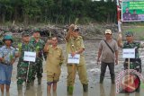 Bupati Sintang Jarot Winarno bersama warga menanam padi di Desa Bancoh Kecamatan Sungai Tebelian pada Senin, (19/9). Progran pembuatan sawah baru selain untuk merubah pola menanam padi dari berpindah-pindah menjadi menetap pada satu lokasi juga mengurangi pembukaan lahan dengan membakar lahan, meningkatkan perekonomian serta mengejar swasembada pangan lebih fokus. (Faiz/Humas Pemkab Sintang)