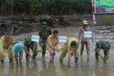 Bupati Sintang Jarot Winarno bersama warga menanam padi di Desa Bancoh Kecamatan Sungai Tebelian pada Senin, (19/9). Progran pembuatan sawah baru selain untuk merubah pola menanam padi dari berpindah-pindah menjadi menetap pada satu lokasi juga mengurangi pembukaan lahan dengan membakar lahan, meningkatkan perekonomian serta mengejar swasembada pangan lebih fokus. (Faiz/Humas Pemkab Sintang)