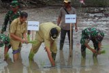 Bupati Sintang Jarot Winarno bersama warga menanam padi di Desa Bancoh Kecamatan Sungai Tebelian pada Senin, (19/9). Progran pembuatan sawah baru selain untuk merubah pola menanam padi dari berpindah-pindah menjadi menetap pada satu lokasi juga mengurangi pembukaan lahan dengan membakar lahan, meningkatkan perekonomian serta mengejar swasembada pangan lebih fokus. (Faiz/Humas Pemkab Sintang)