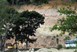 Seorang pekerja berada di tebing bekas galian c, di tepi Danau Singkarak, Solok, Sumatera Barat, Kamis (22/9). Aktivitas galian C tersebut membahayakan pengguna jalan dan hasil galian juga digunakan untuk menimbun tepi danau. ANTARA FOTO/Iggoy el Fitra/pd/16