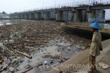 Bojonegoro - Seorang warga mencari kayu rencek di antara tumpukan sampah yang menumpuk di Bendung Gerak Bengawan Solo di Desa Ngringinrejo, Kecamatan Kalitidu, Kabupaten Bojonegoro, Jawa Timur, Minggu (25/9). Sungai terpanjang di Jawa di daerah setempat selama ini tidak hanya menjadi pembuangan berbagai aneka sampah, tapi juga berbagai aneka limbah dari daerah hulu, Jawa Tengah. Antara Jatim/Foto/Slamet Agus Sudarmojo. 