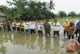 Kepala Dinas Pertanian Langkat Nasiruddin bersama kelompok tani dan anggota TNI sedang melaksanakan penanaman padi pada salah satu kelompok tani yang ada di Langkat.(antara sumut/Imam Fauzi)
