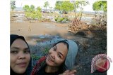 Kawasan Mangrove