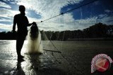 Seorang nelayan membentangkan jaring usai melaut di Pantai Pulau Datok, Sukadana, Kabupaten Kayong Utara, Kalbar, Minggu (2/10). Pantai Pulau Datok yang merupakan perpaduan antara pantai, bukit dan teluk tersebut, menjadi salah satu objek wisata unggulan Sukadana, Kabupaten Kayong Utara. ANTARA FOTO/Jessica Helena Wuysang/16