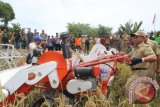 Bupati HSU Abdul Wahid mencoba mesin panen padi (Combine Revester) bantuan dari Kementerian Pertanian sebanyak 51 unit saat panen raya padi di Desa Panyiuran, Selasa (5/10).(Foto Antaranews Kalsel/Eddy Abdillah/F)
