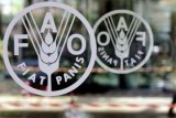 FAO : Harga Pangan Dunia Naik Lagi Karena Susu Melonjak