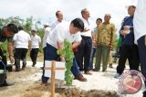 Direktur PT Timah (Persero) Tbk, Riza Pahlevi meletakkan batu pertama pembangunan klaster tanaman pakan ternak di lahan bekas tambang Desa Simpang Katis Kabupaten Bangka Tengah, dihadiri Bupati Bangka Tengah Erzaldi Rosman Johan, Direktur Niaga dan Pengembangan Usaha PT Timah, Purwijayanto, Direktur PT TAM, Arius Dimara. Jumat (7/10).