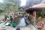 Wisata Kampung Flory edukasi pengunjung berkebun modern 