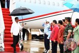 Gubernur Kalbar beserta jajaran Pemprov Kalbar menyambut kedatangan Presiden Jokowi di Bandara Supadio Pontianak, pada Jumat Sore. Kedatangan Jokowi ke Pontianak dalam rangka pembukaan kegiatan Sail Karimata di Kayong Utara (Foto Antara Kalbar / Rendra Oxtora)
