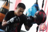 Petinju dunia dari Sukadana, Daud Yordan menjalani latihan di Sasana 24/7 Daud Yordan Boxing Club di Kecamatan Sukadana, Kabupaten Kayong Utara, Kalbar, Senin (17/10). Daud Yordan yang merupakan pemegang sabuk World Boxing Association (WBA) International dan menempati peringkat pertama tinju dunia tersebut, menyatakan bahwa saat ini Ia menjalani latihan rutin setiap hari guna menjaga stamina tubuh. ANTARA FOTO/Jessica Helena Wuysang/16
