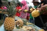 Sejumlah wisatawan domestik mengikuti lomba mengupas nanas di area wisata gunung Kelud, Desa Sugihwaras, Kediri, Jawa Timur, Minggu (23/10). Lomba secara gratis yang dapat diikuti oleh siapa saja tersebut bertujuan mengangkat potensi pertanian nanas daerah sekitar sekaligus memberikan hiburan bagi wisatawan. Antara Jatim/Prasetia Fauzani/zk/16