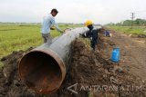 Sejumlah pekerja mengerjakan pemasangan pipa gas Semarang-Gresik (Gresem) di Desa Tikusan, Kecamatan Kapas, Kabupaten Bojonegoro, Jawa Timur, Minggu (23/10). PT Pertamina Gas (Pertagas) membangun pipa gas sepanjang 271 kilometer untuk menjamin penyaluran gas di wilayah Jawa Tengah dan Jawa Timur, sekaligus mendukung program Pemerintah dalam konversi BBM ke gas sebagai bahan bakar industri. Antara Jatim/Foto/Slamet Agus Sudarmojo/zk/16. 